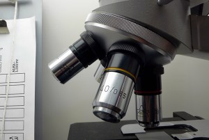 evidencia cientifica
